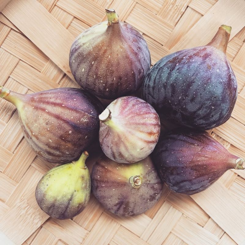 Figs