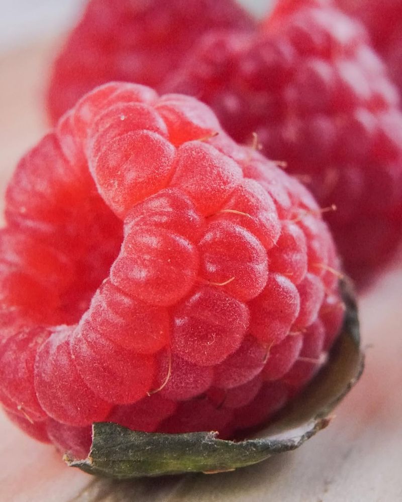 Raspberry Seeds