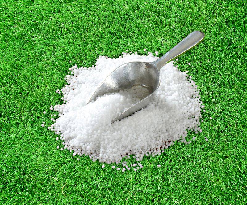 Improves Nutrient Absorption Efficiency