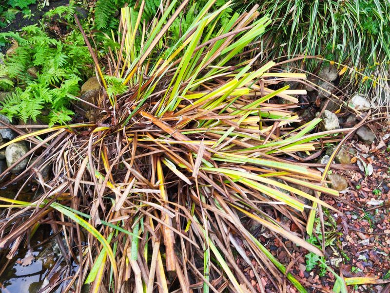 Reduced Winter Damage