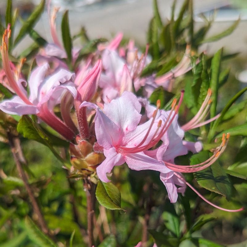 Low Maintenance Requirements Save You Time