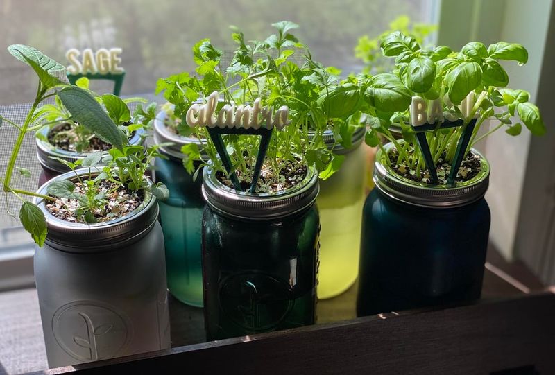 Mason Jar Herb Kit