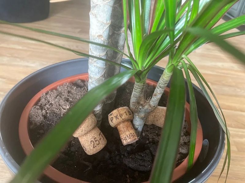 Cost-Effective Alternative To Store-Bought Materials