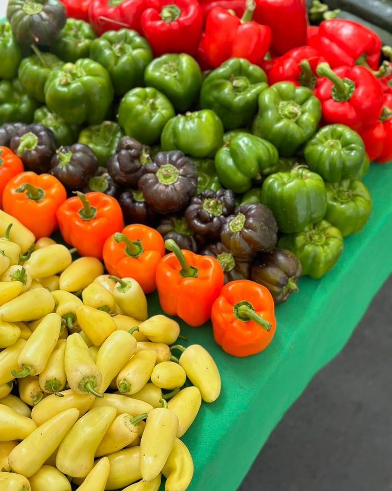 Crisp Bell Peppers
