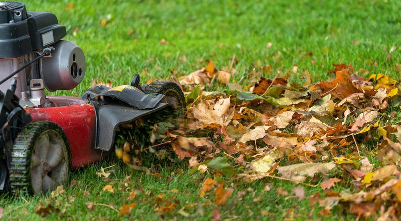 Mowing At The Correct Height In Autumn