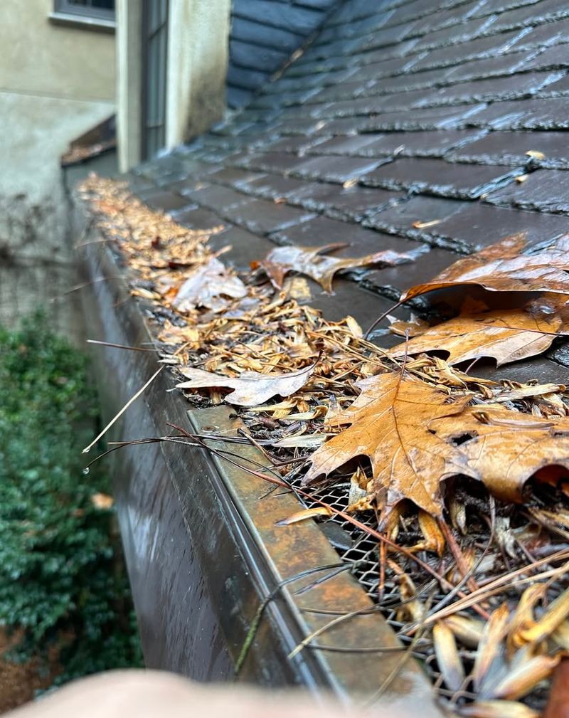 Document Excessive Problems