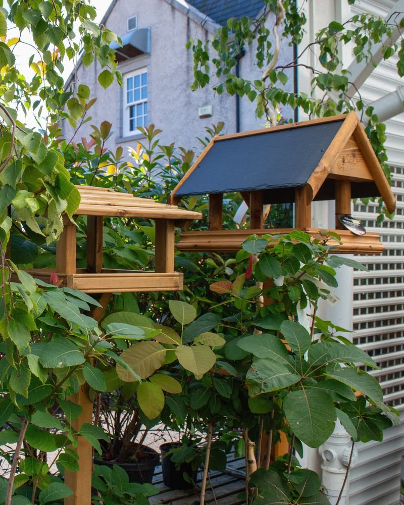 Outdoor Feeding Stations