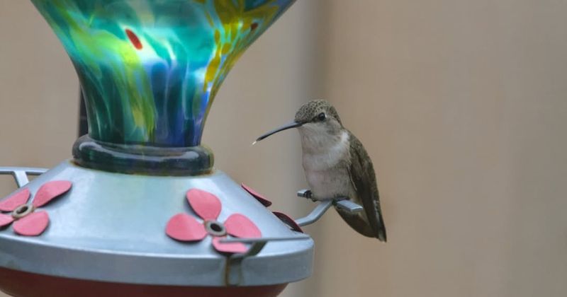 Regional Differences Matter Across The State