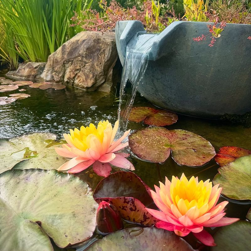Trim Back Aquatic Plants