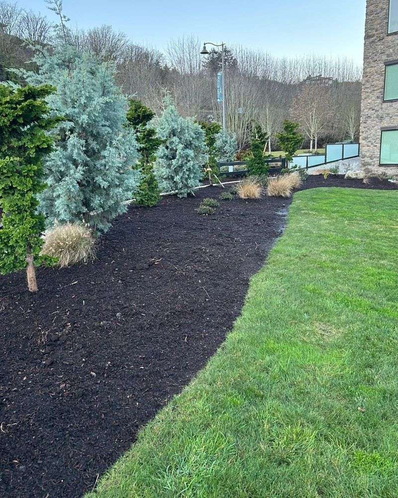 Apply Mulch Before Winter Arrives