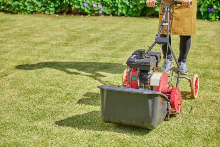 lawn aeration