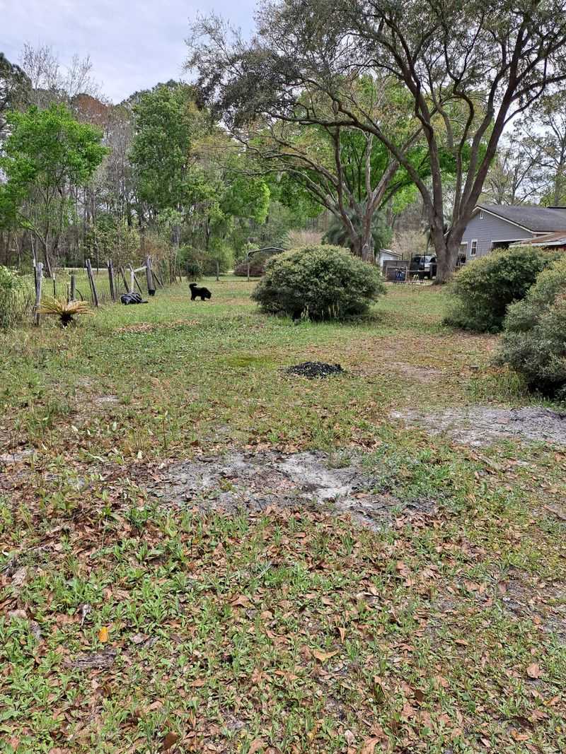 You Can Smell A Musty Odor Outside