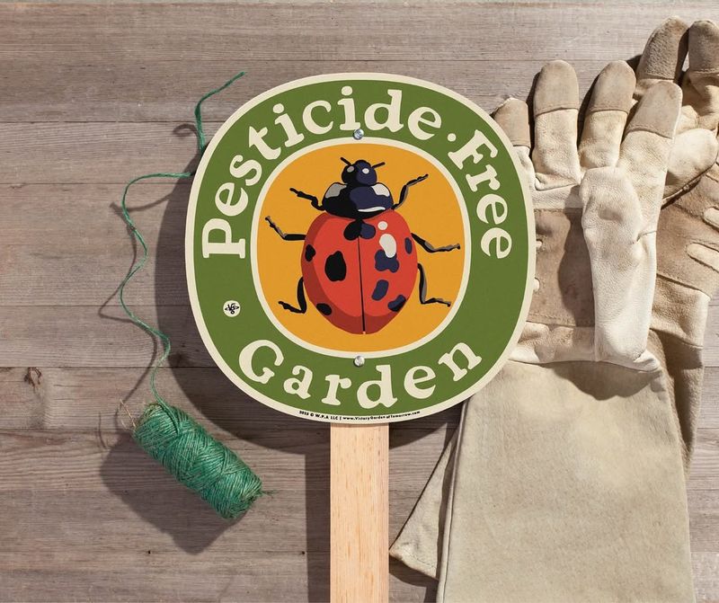 Stop Using Chemical Pesticides On Your Lawn