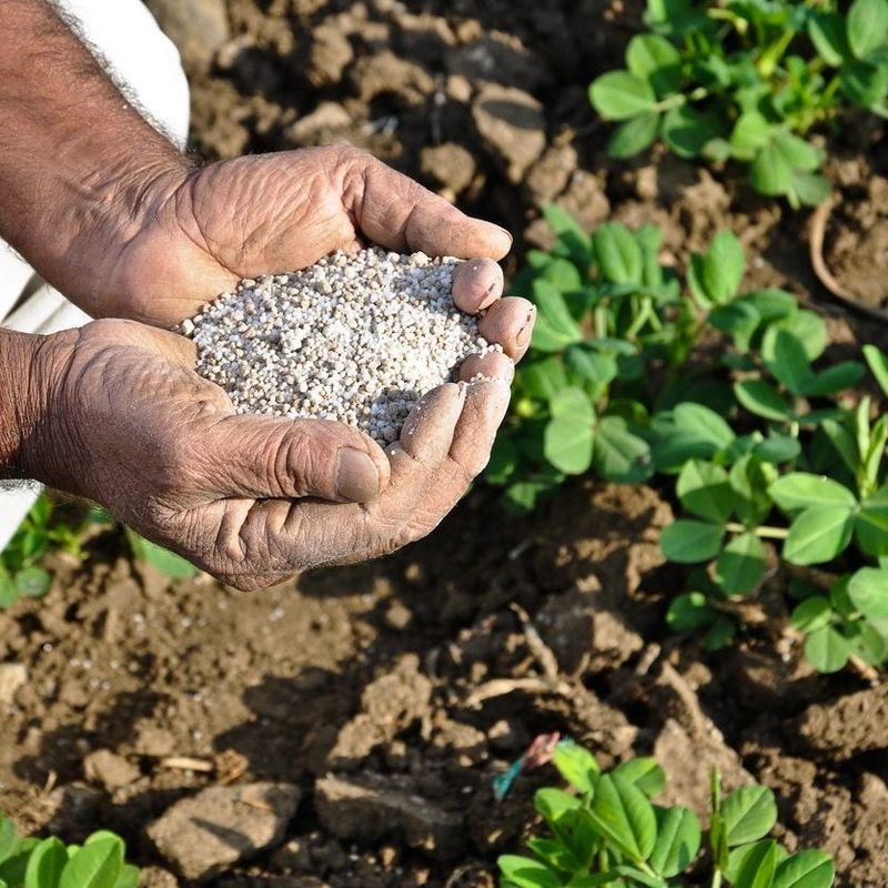 Lowers Soil pH For Acid-Loving Plants