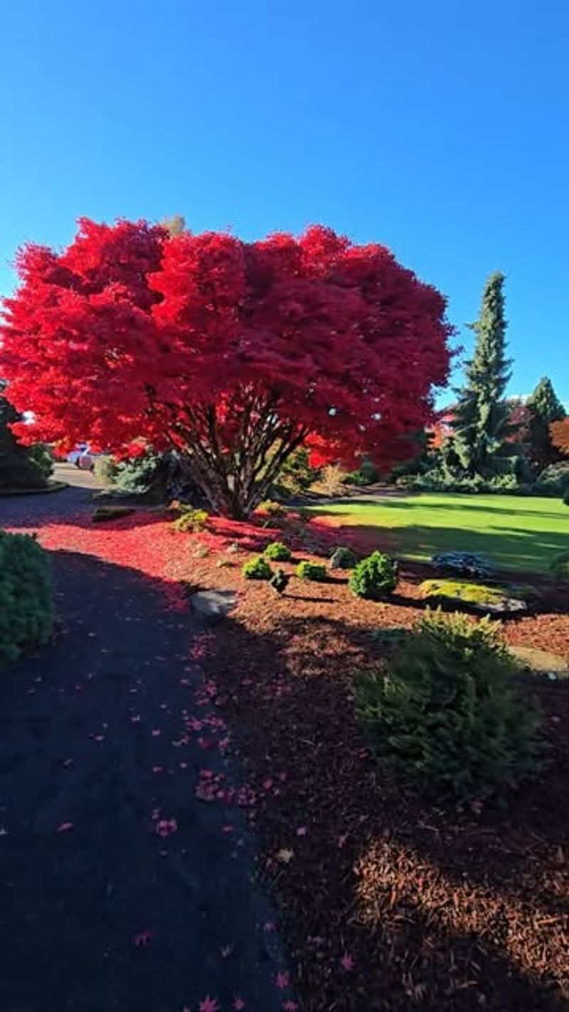 Early Blooming Schedule Provides Critical Food Sources