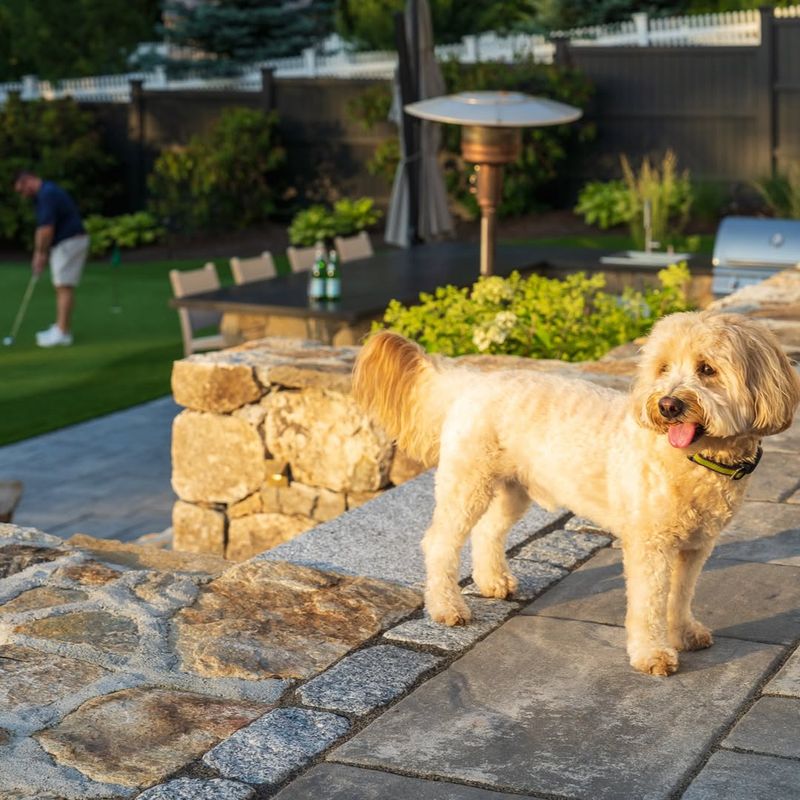 Keep Your Pets Indoors Or Close To You