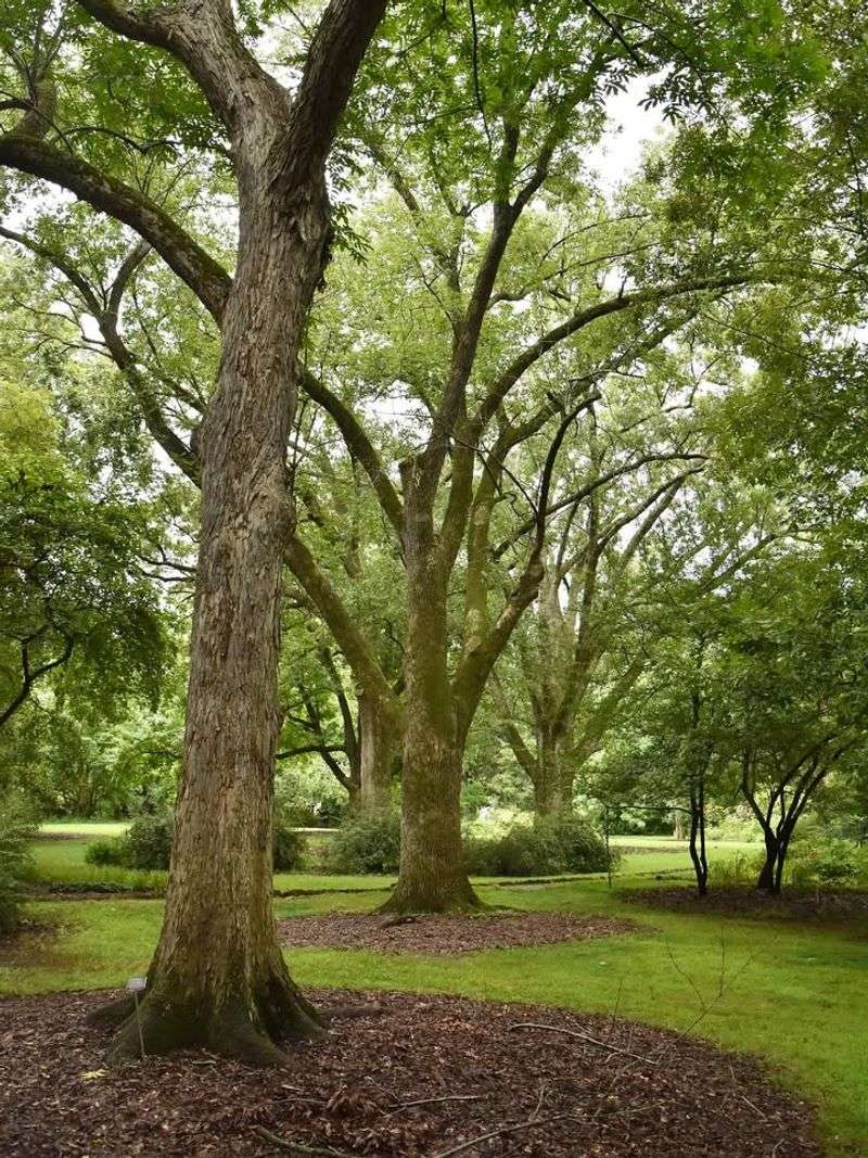 Wildlife Management Areas