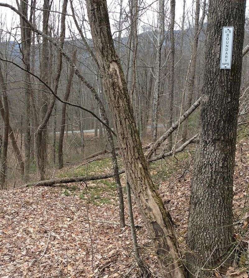 Wildlife Conservation Areas