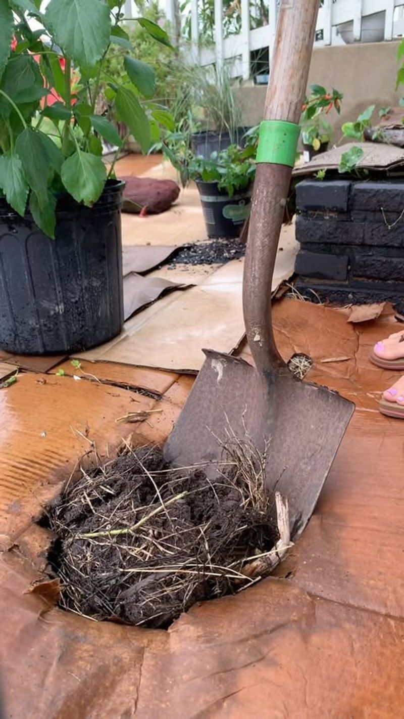 Prepare Your Soil Thoroughly