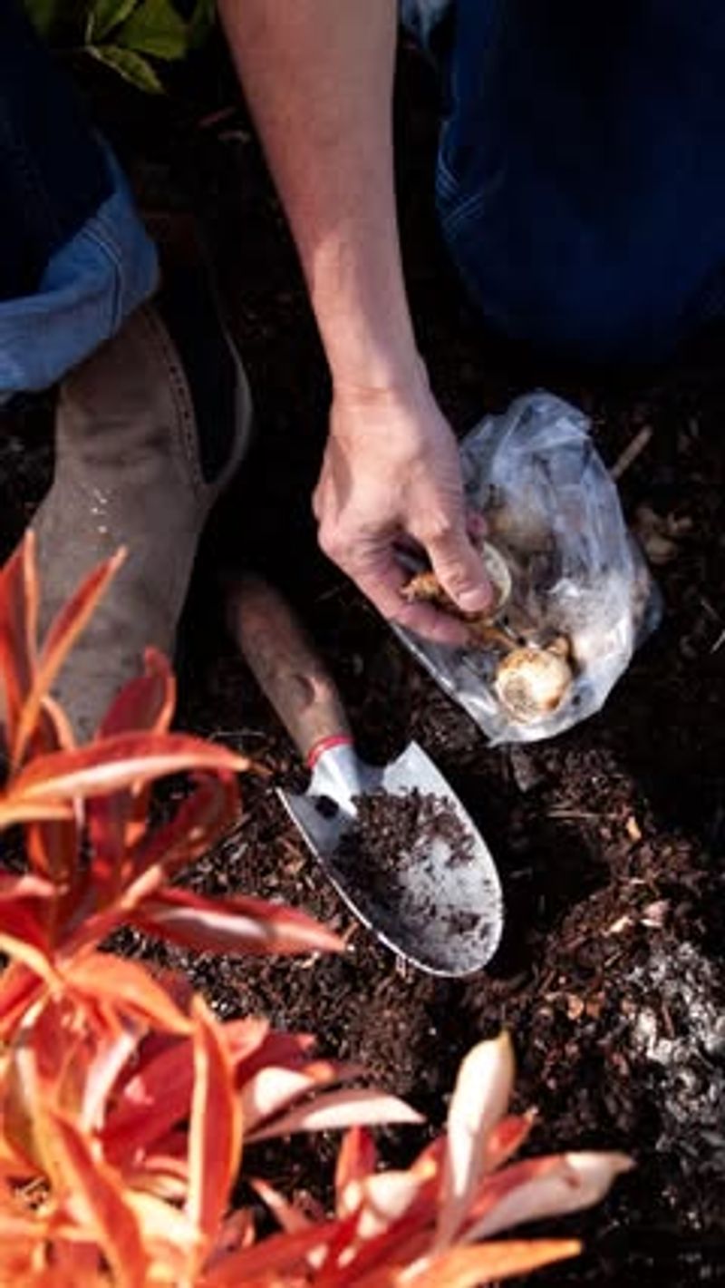Dig Holes At The Proper Depth