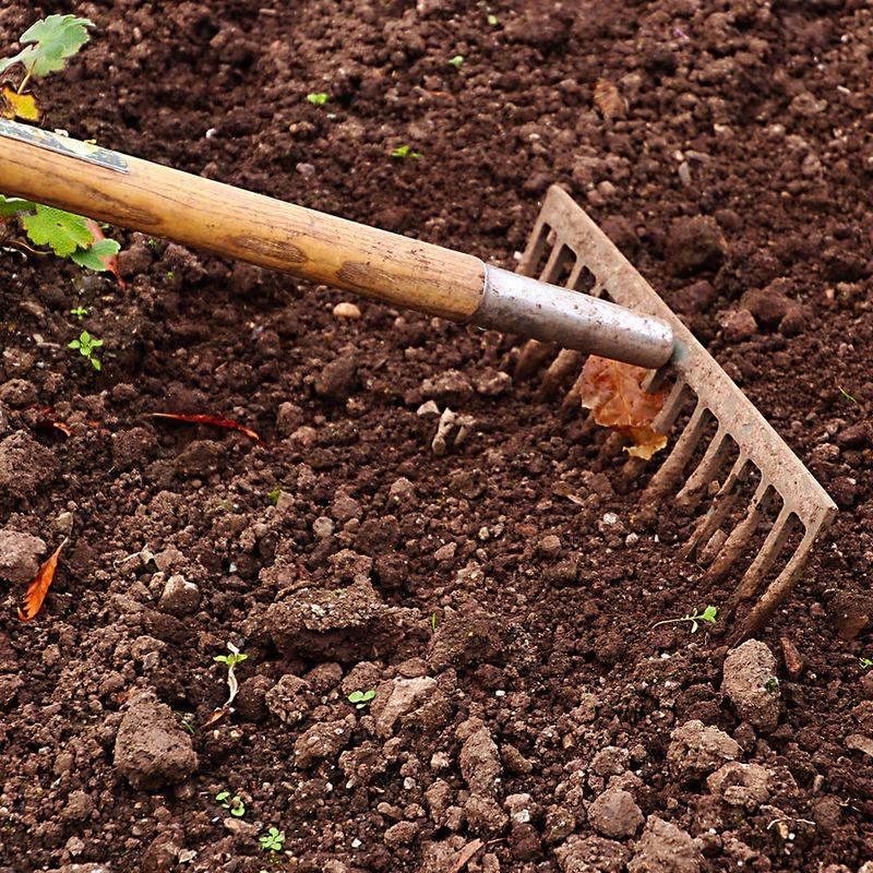 Soil Preparation Is Everything