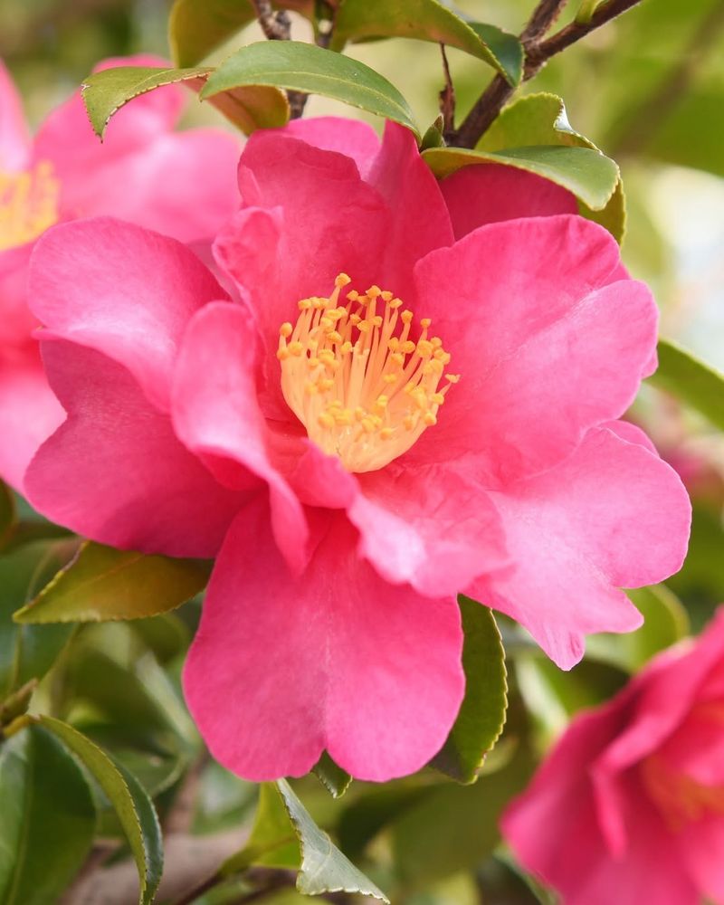 Perfect Size For Modern Landscapes