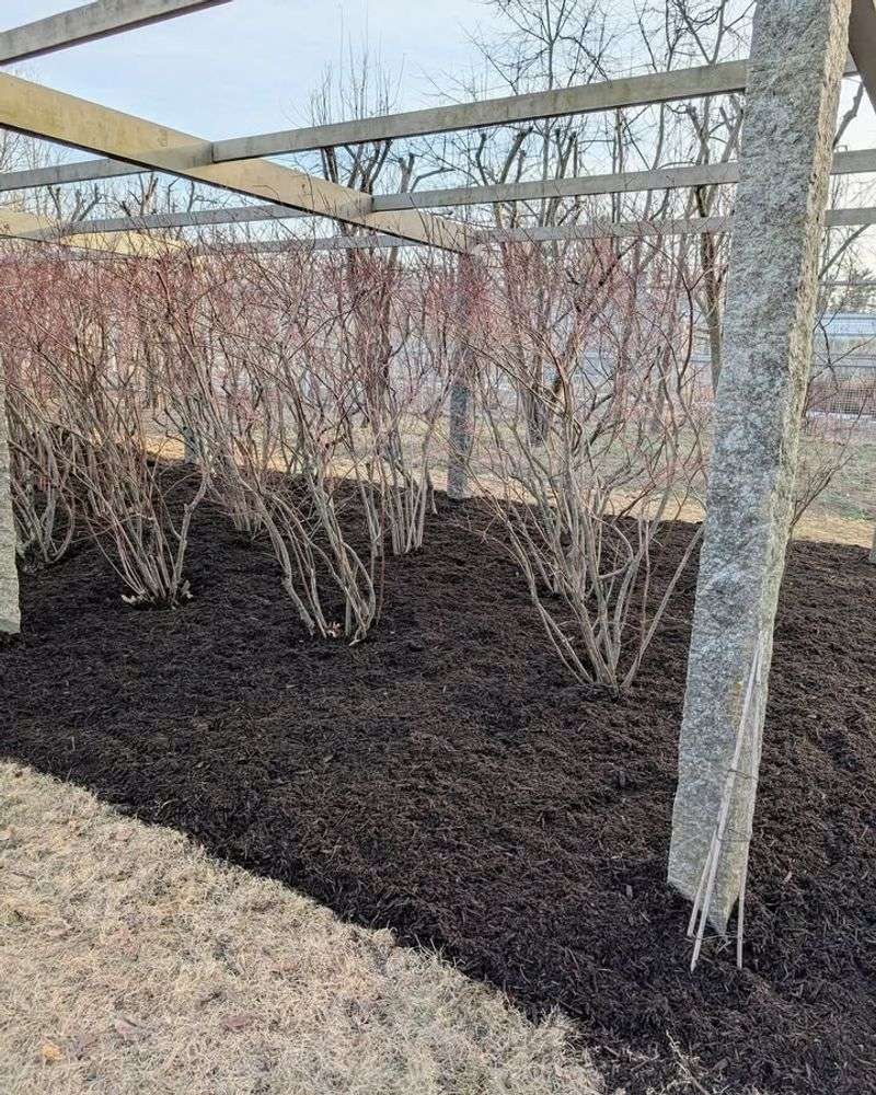 Reduced Risk of Disease Spread