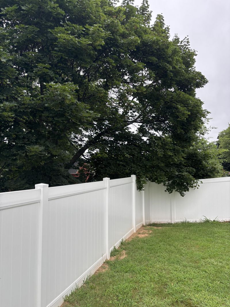 Trimming Branches That Cross Your Property