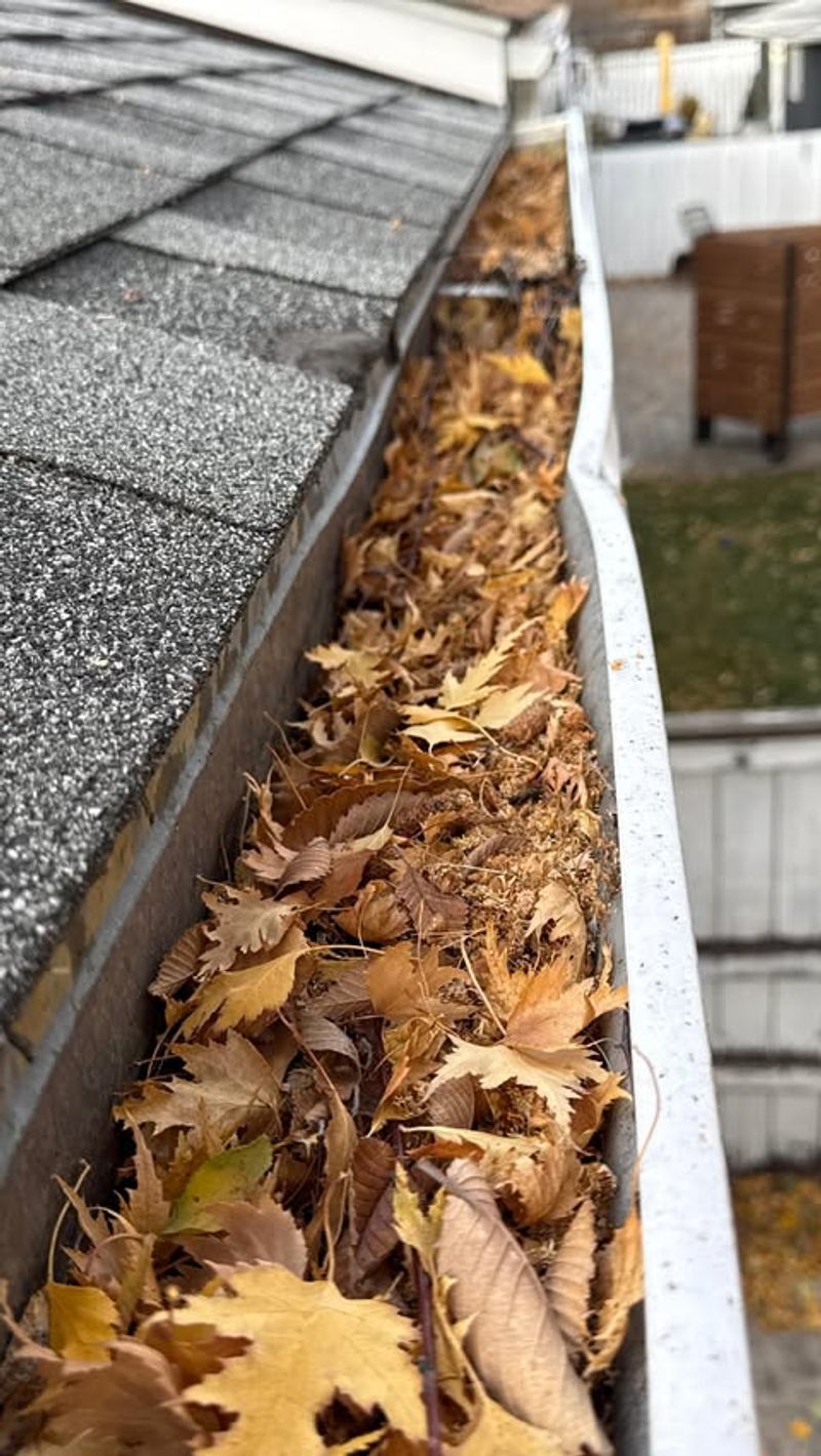 Clean Out Gutters And Downspouts