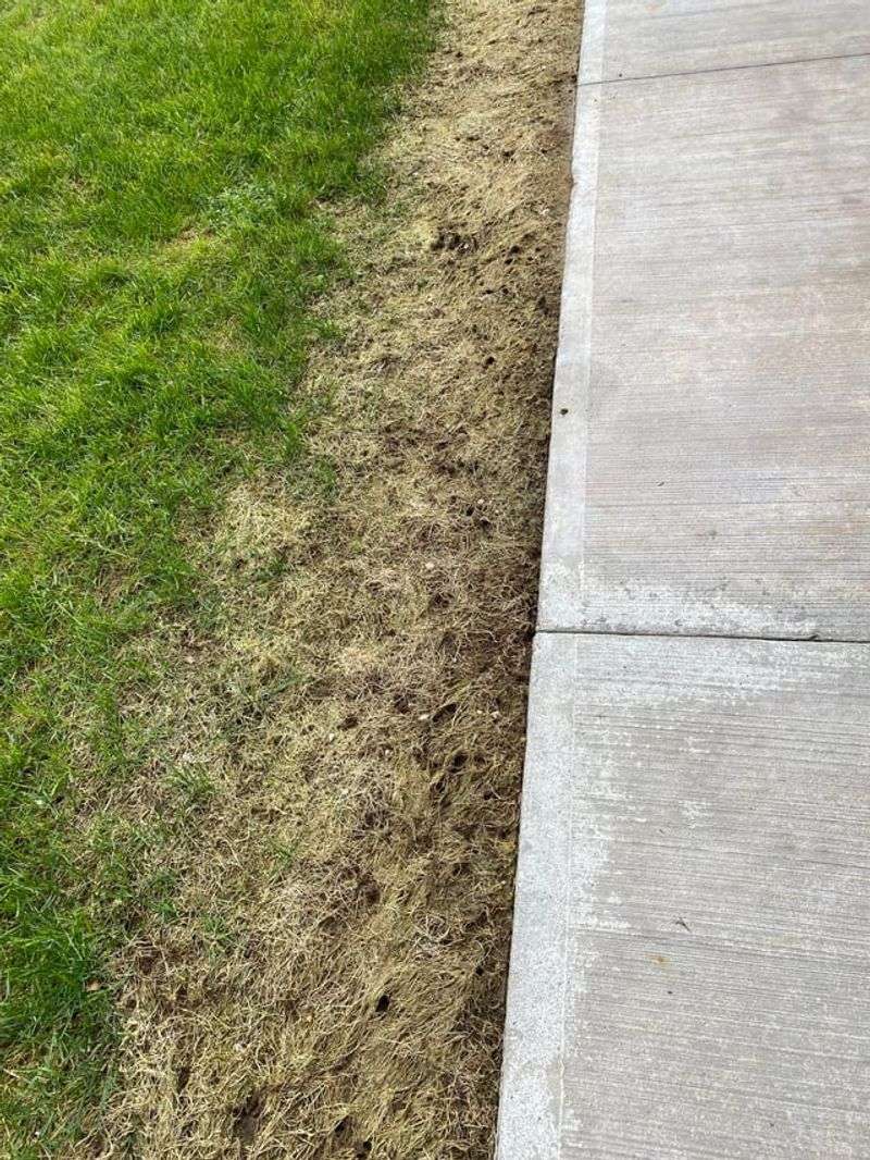 Close To Driveways Or Streets