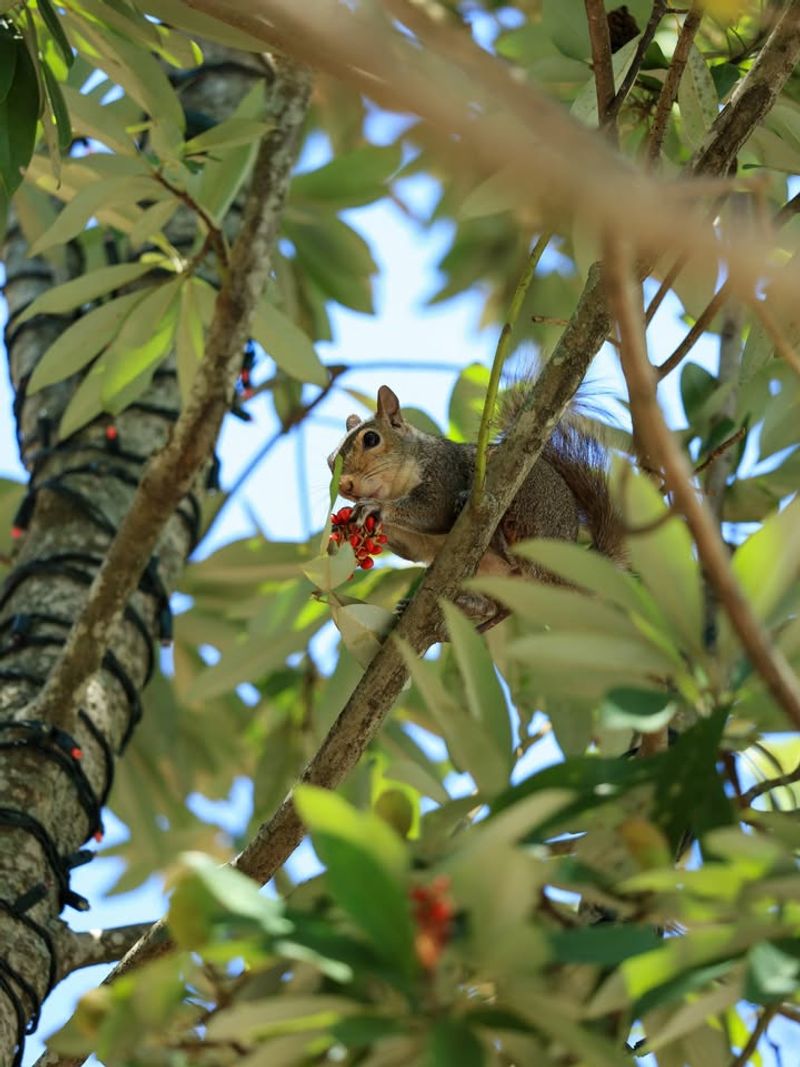 Consider Wildlife Impact