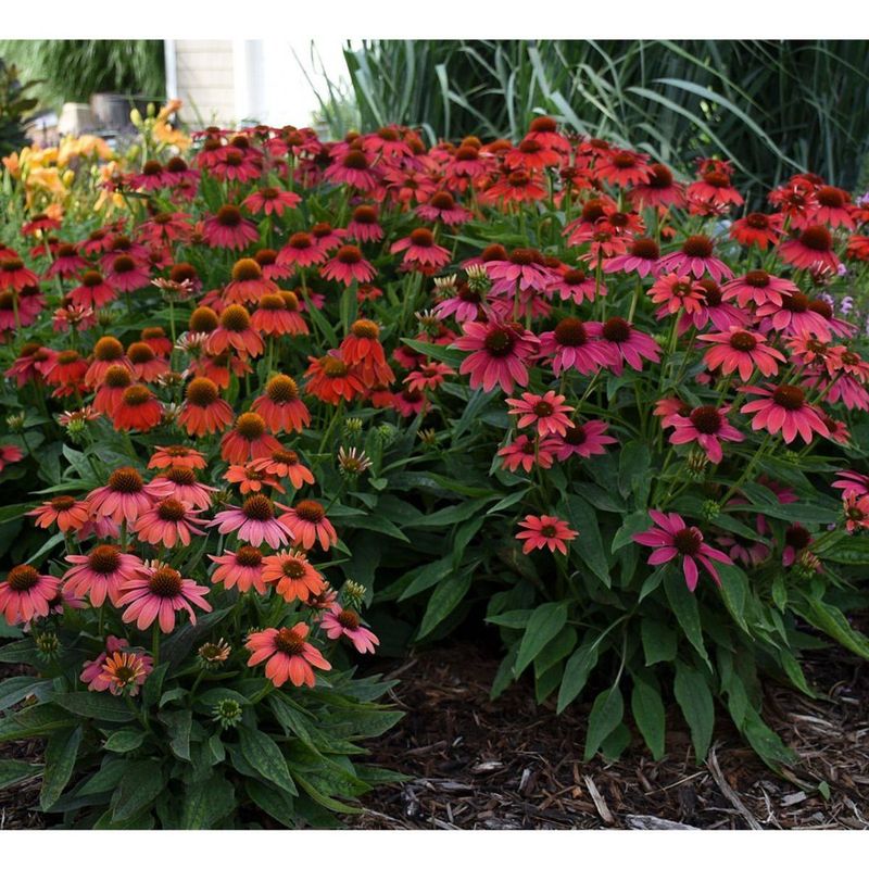 Timing Your Fall Planting Window