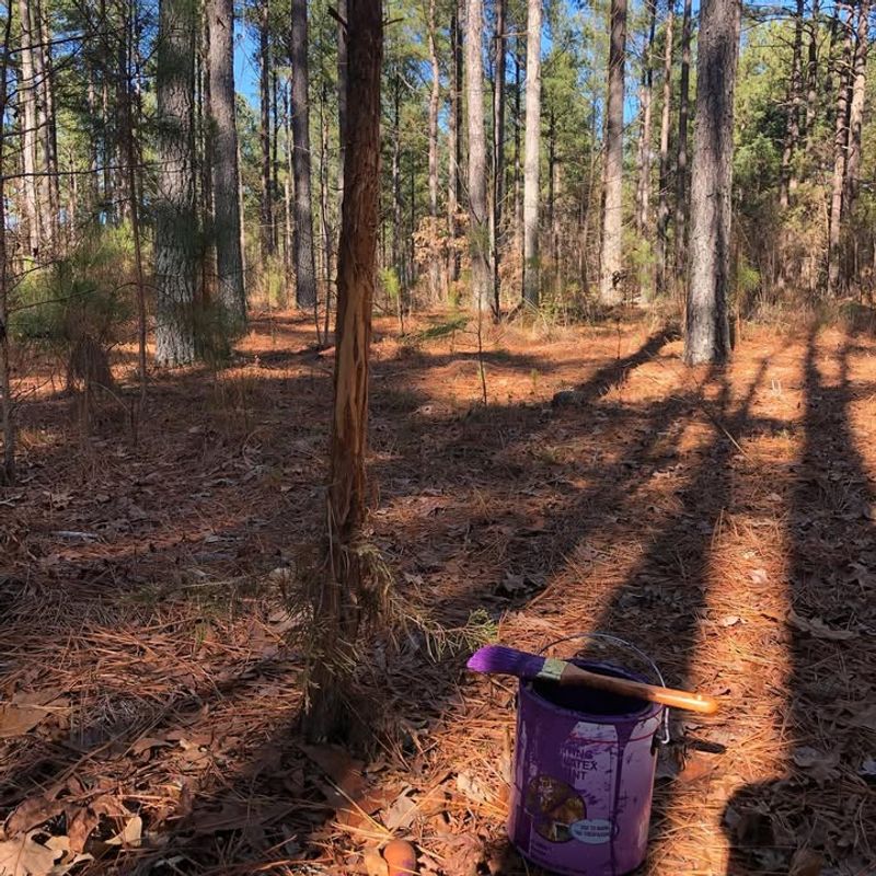 Protects Wildlife Management Areas