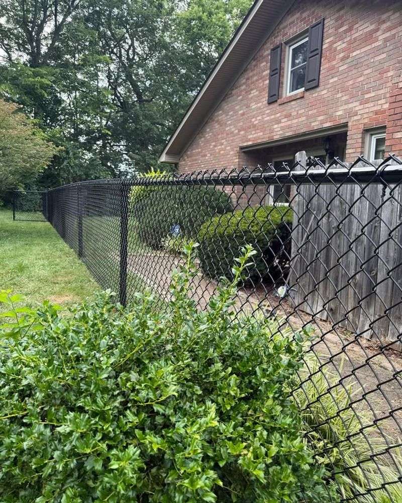 Chain-Link Fencing in Front Yards