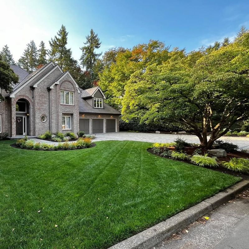 Excessive Lawn Size