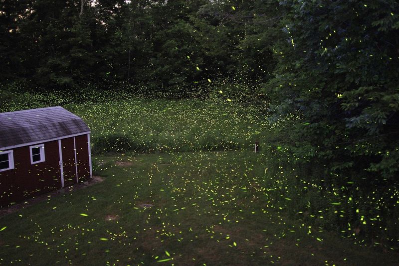 Water Pollution Harms Aquatic Larvae