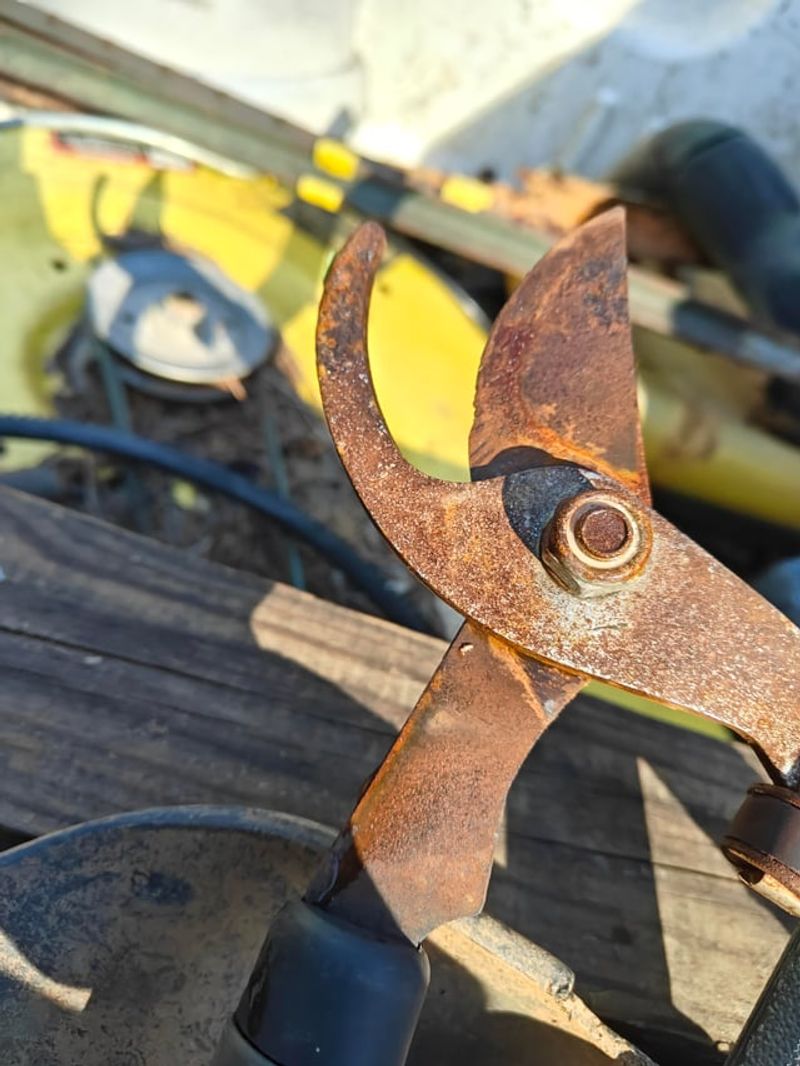 Sharpen And Sand Away Existing Rust Spots