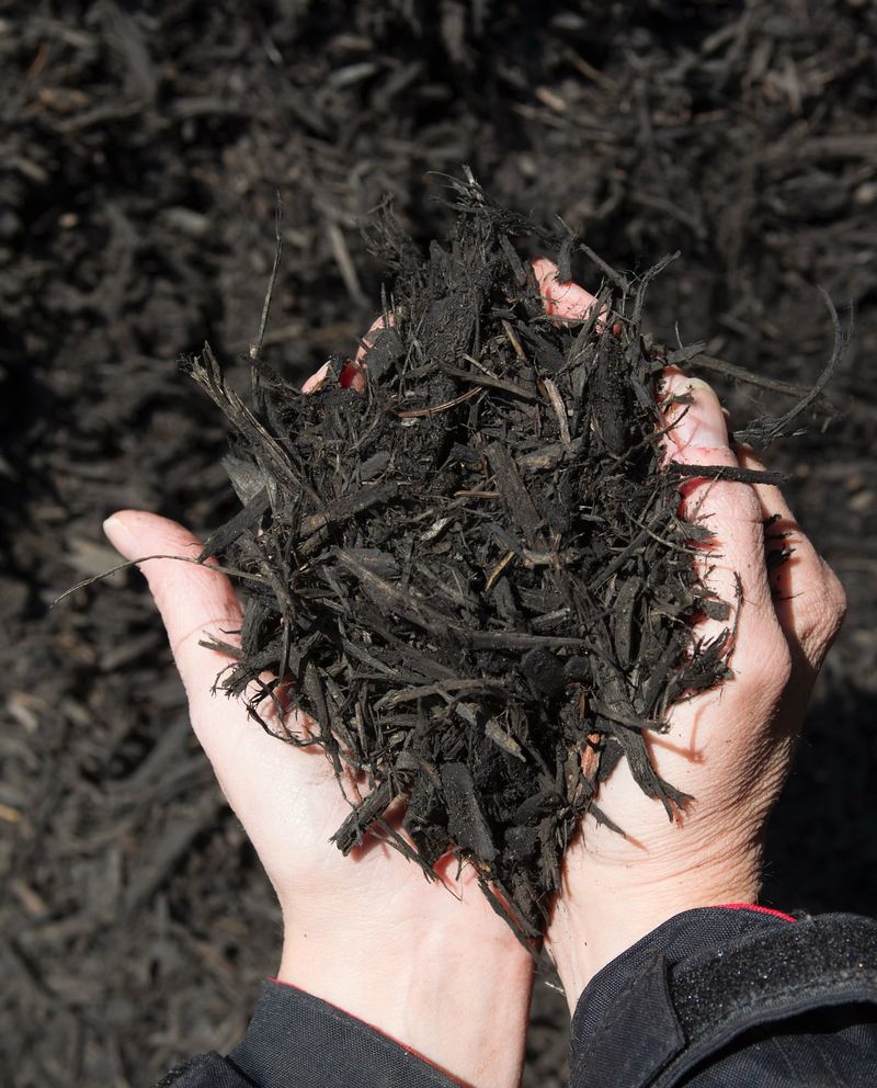 Avoid Heavy Garden Soil In Containers