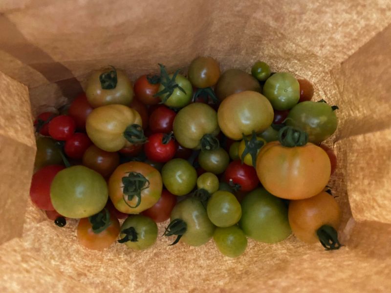 Try The Paper Bag Trick