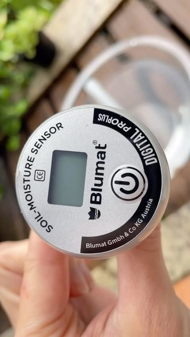 Consider Using A Moisture Meter For Precise Readings