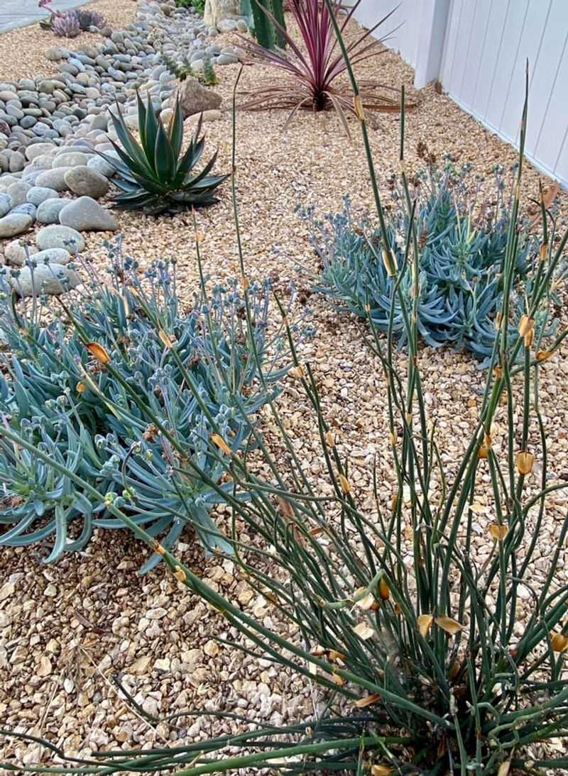 Water Deeply But Less Frequently