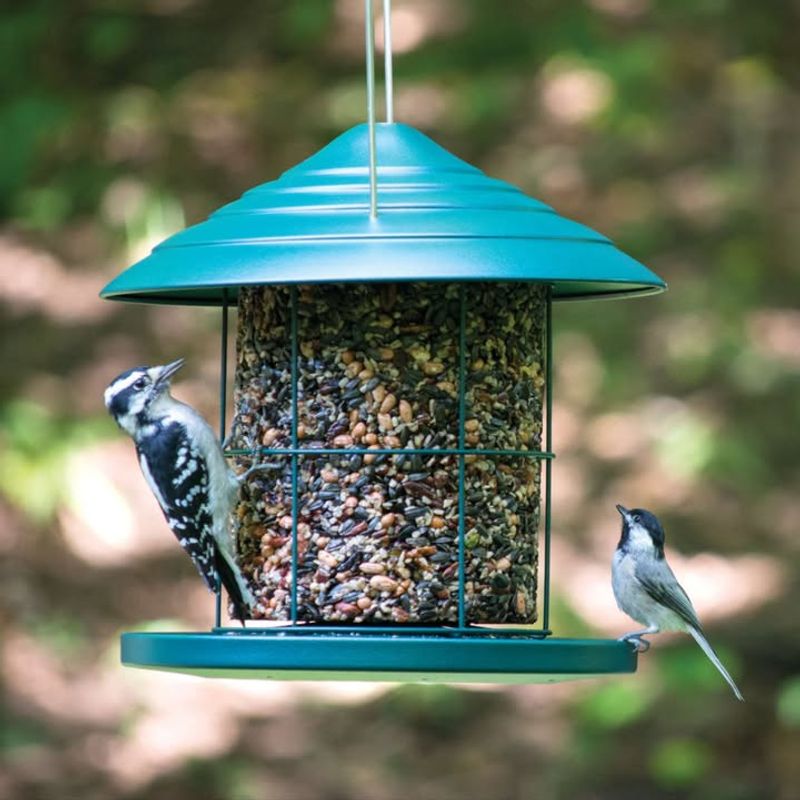 Leaving Feeders Up During Migration