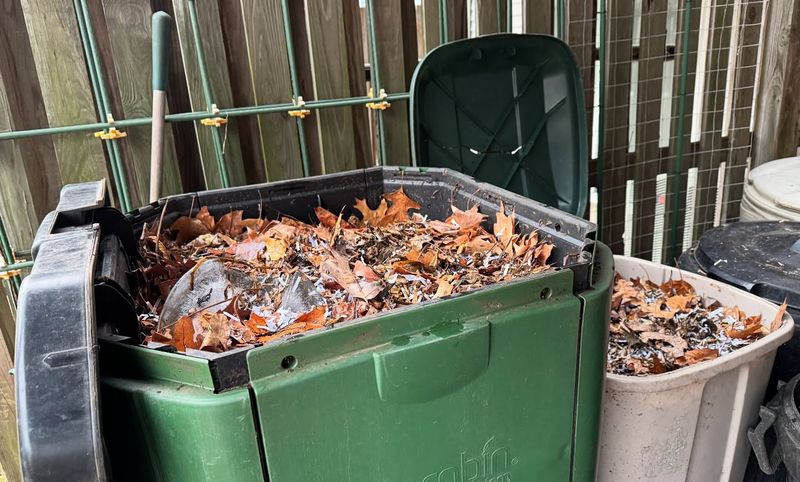 Creative Ways To Reuse Kitchen Scraps Outdoors