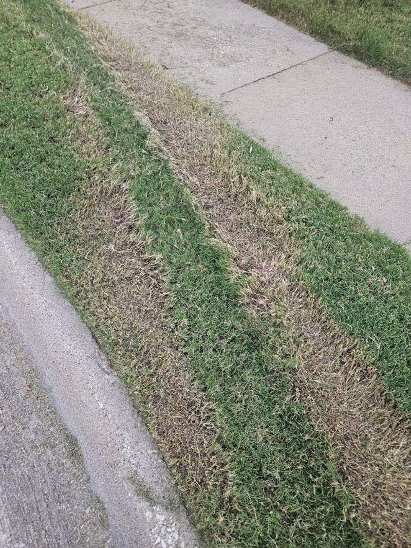 Parking Vehicles or Equipment on Your Lawn