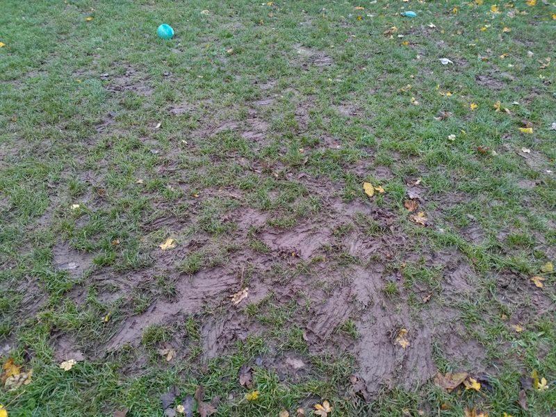 Allowing Lawn Equipment To Damage Turf