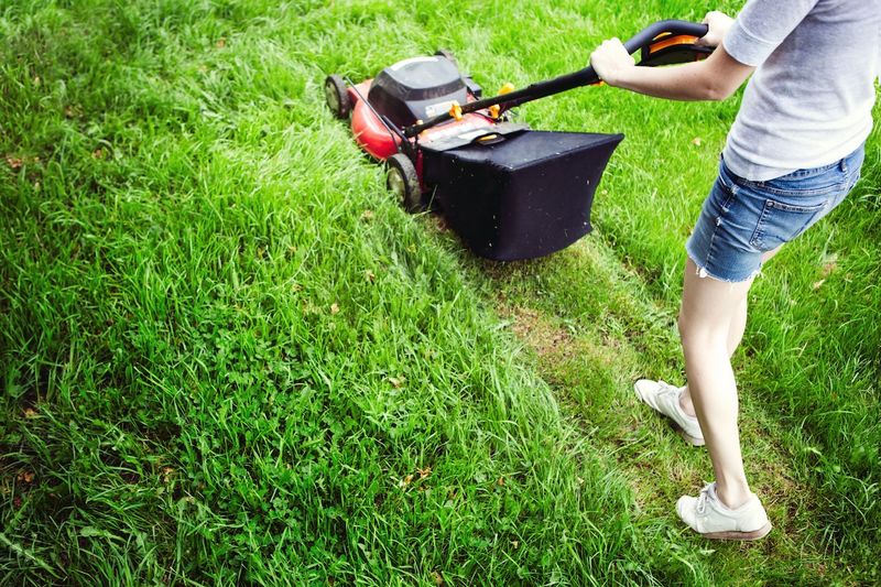 Allowing Lawn Equipment To Damage Grass