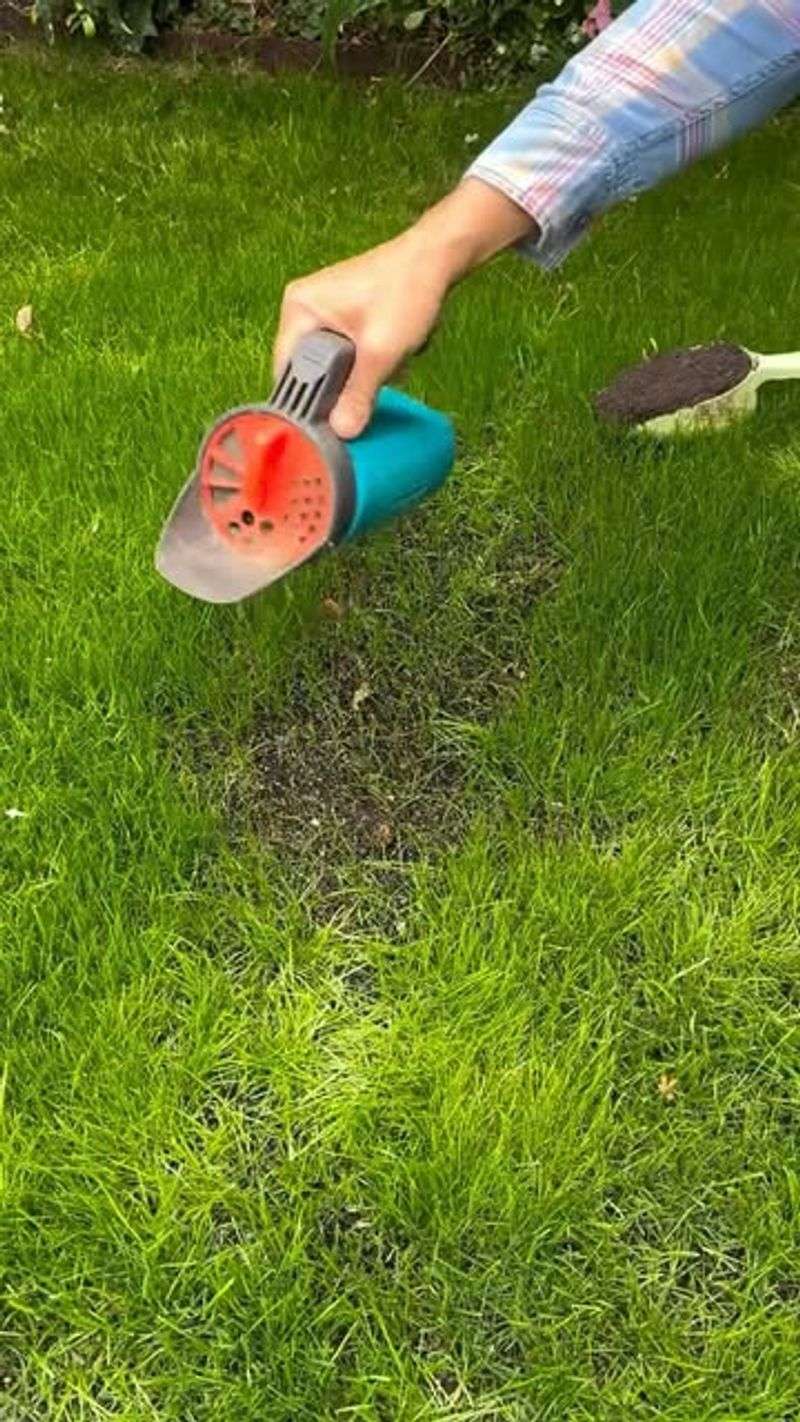 Neglecting To Overseed Bare Spots