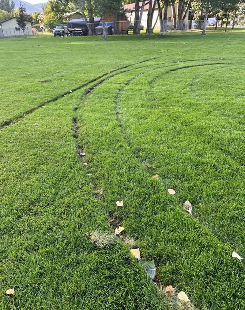 Parking Vehicles On The Lawn