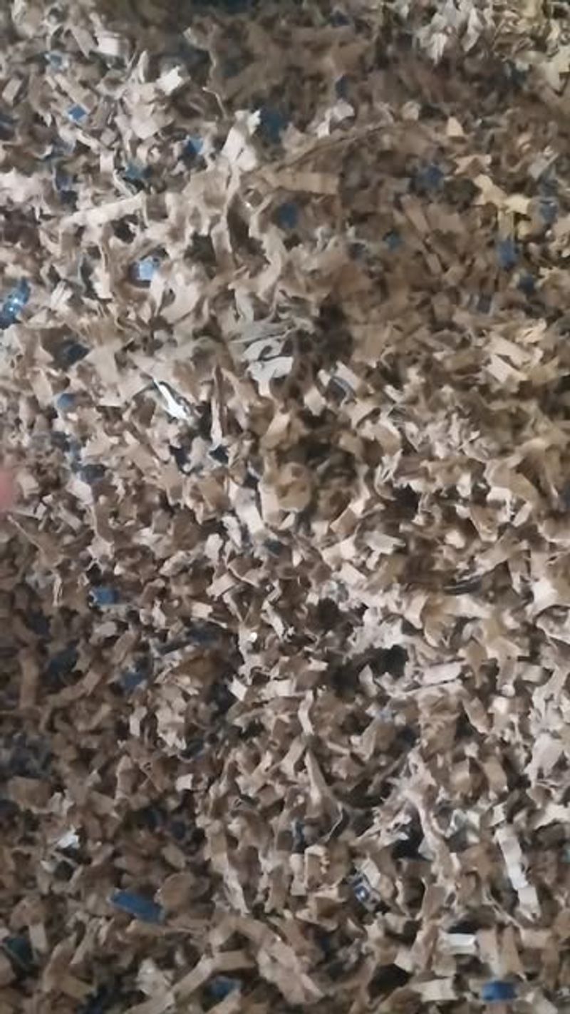 Shredded Newspaper And Cardboard