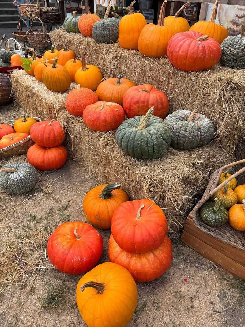Look For Rich Color
